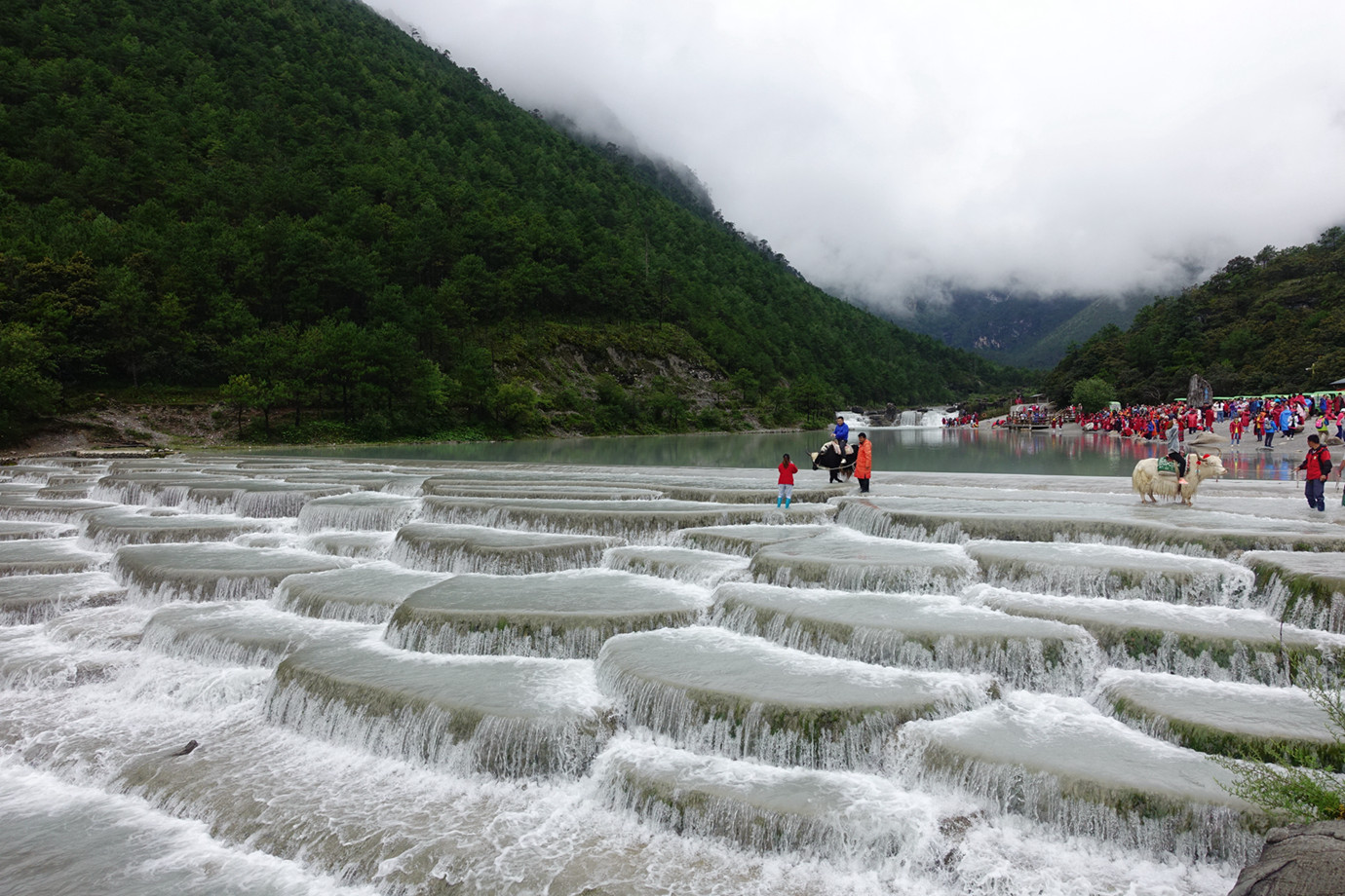 雲南麗江-玉龍雪山白水河